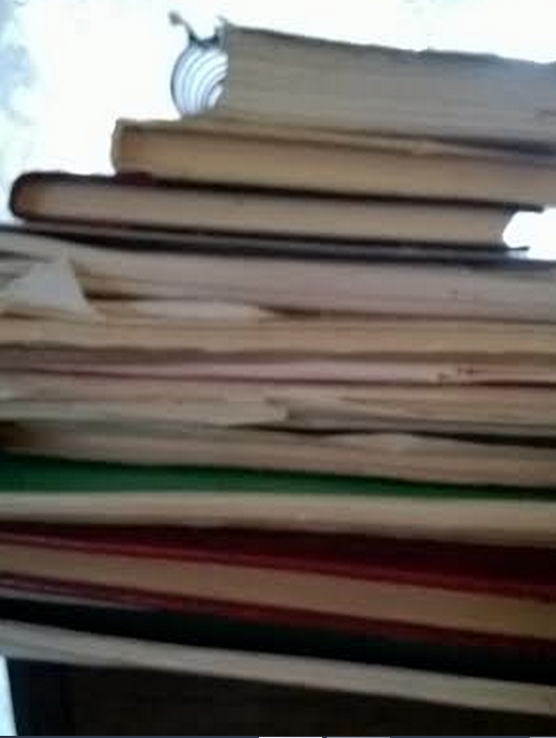 Just some of my journals.