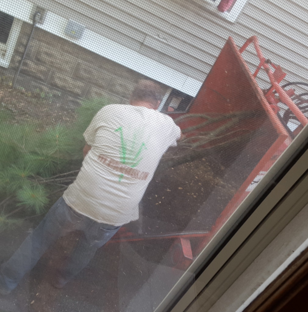 tree.trimmer