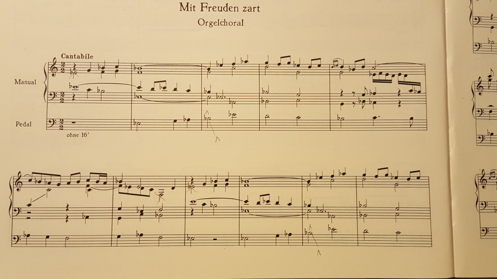 pepping.mit.freuden.zart