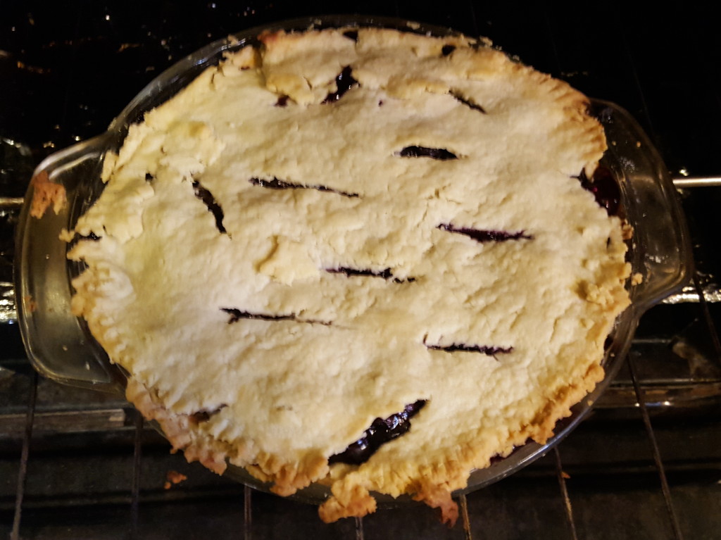 blueberry.pie