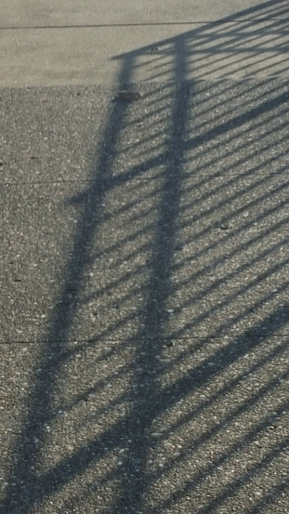 fence.shadow