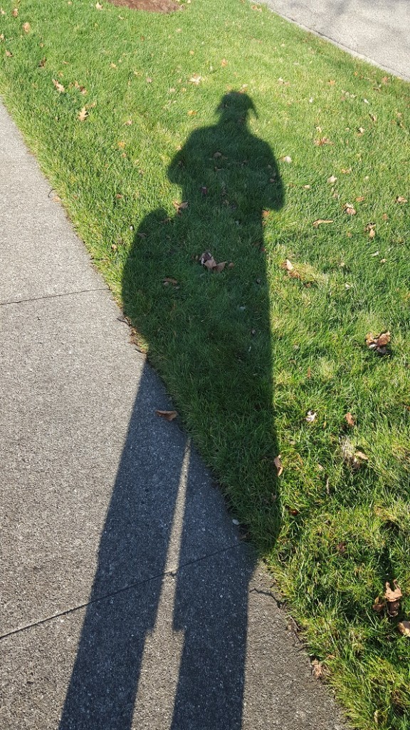 jupe.shadow