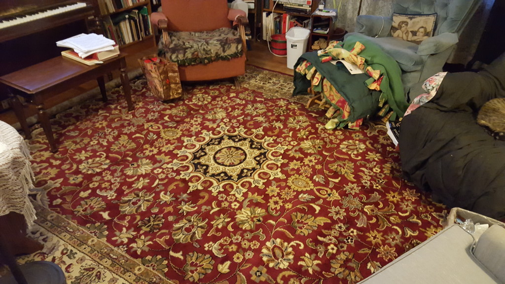 new.carpet.2016.Feb