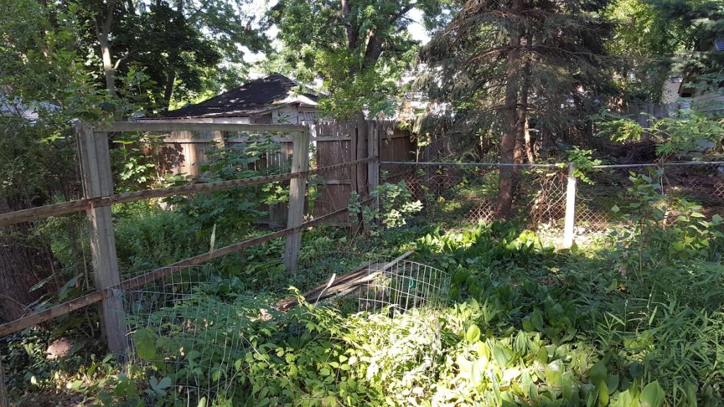 fence.07.24.2016.01