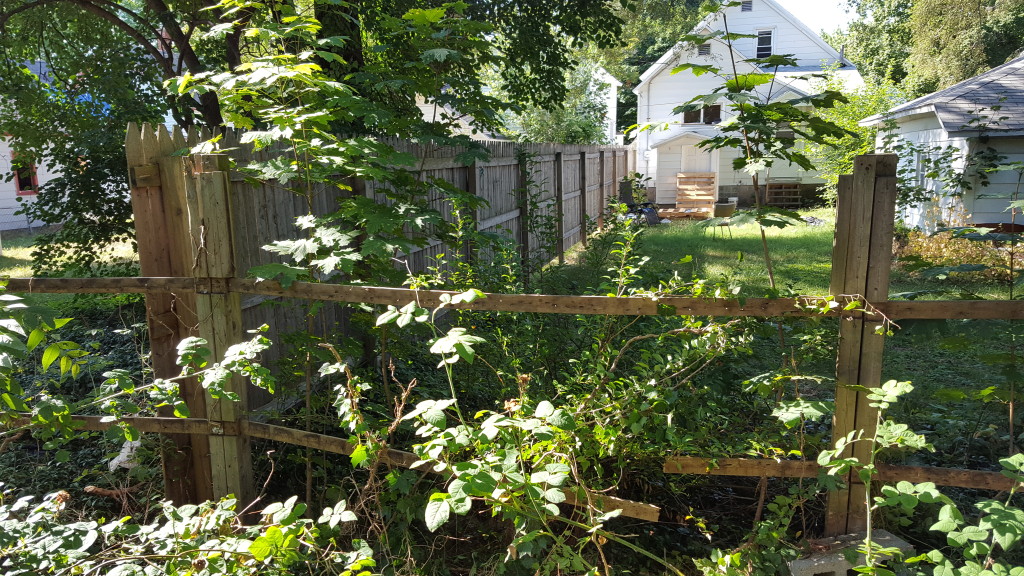 fence.07.24.2016.02