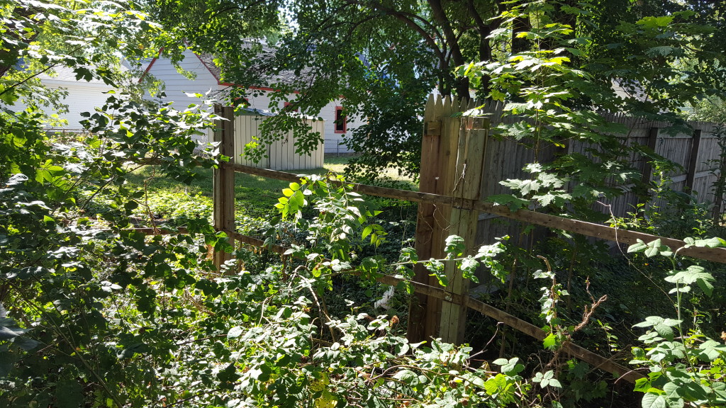 fence.07.24.2016.03
