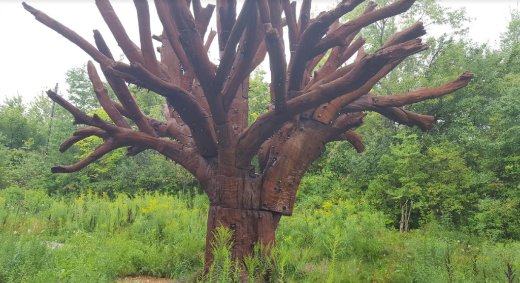 ai.weiwei.16